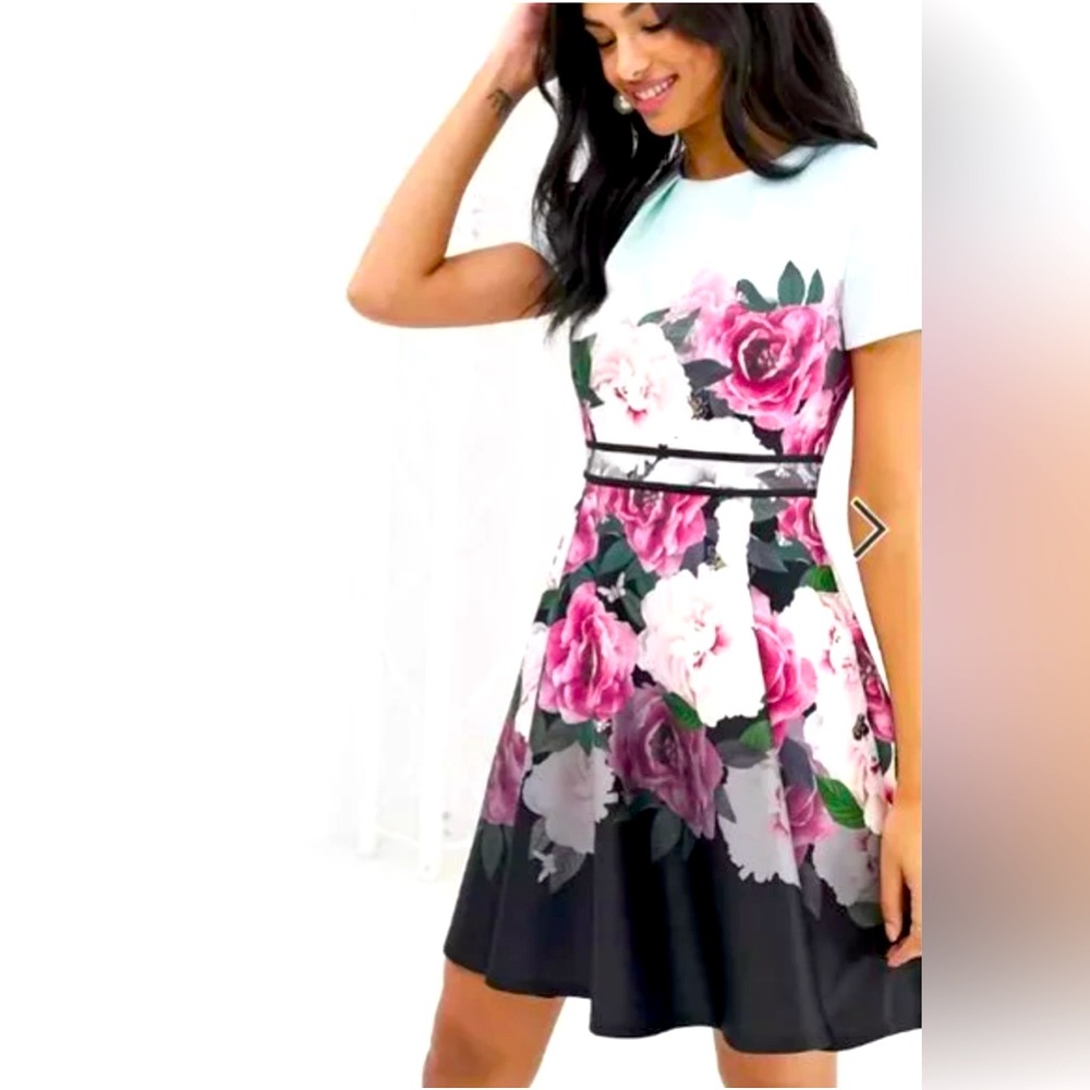 Ted Baker Wilmana Magnificent Floral Skater Dress in Mint Green(Ted 5 =U…